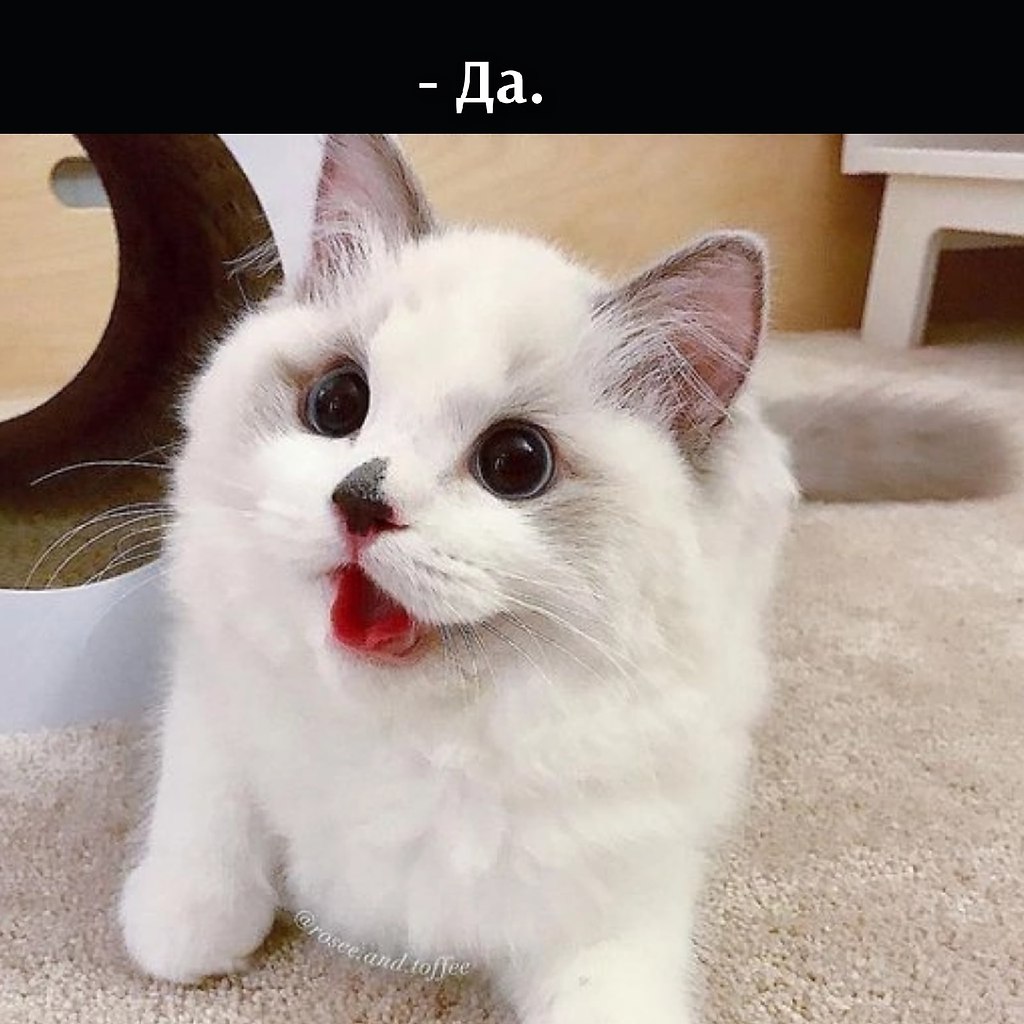 ��������.... - 3