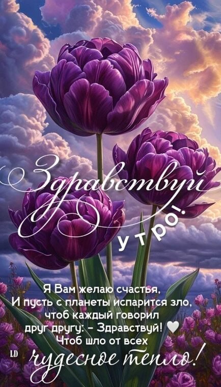   ! - 27  2025  10:47