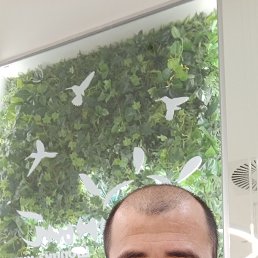 , 37, 