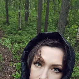 , 53, 