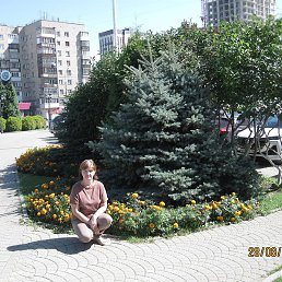 ����, �����������, 52 ����