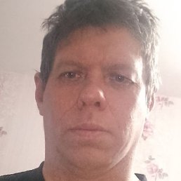 ������, �����, 41 ���