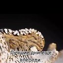 ���� ����, ����������, 43 ���� - ��������� 27 ������ 2024 � ������ ���� ����������