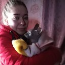 ���� ������***, �������� - ��������� 3 ���� 2026 � ������ ���� ����������