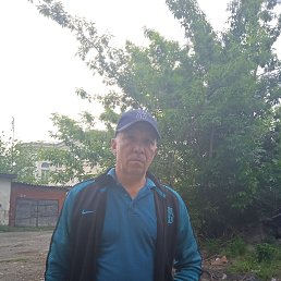 , 49 , 