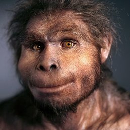 , 45, 