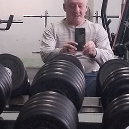 ��������, 59 ���, ���������