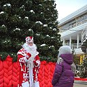 ���� ������ ����, ������, 49 ��� - ��������� 7 ������ 2026 � ������ ������ ��������