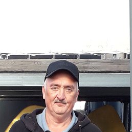 , 53, 