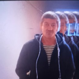 , 53, 