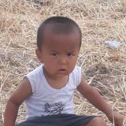 �����, ���������, 40 ���