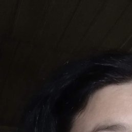 ����, ������-��-����, 40 ���