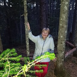 ������..., �����������-��-�����, 63 ����