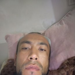 , 40, 