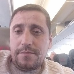 �����, ������, 43 ����