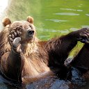 ���� ������, �����������, 48 ��� - ��������� 25 ������� 2026