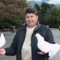 �������, ��������, 70 ���