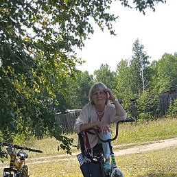 �����, ����, 62 ����