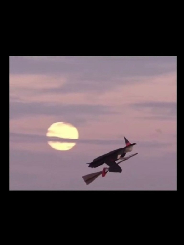 . - 25  2025  11:24 - 2