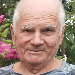 ��������, ������, 78 ���