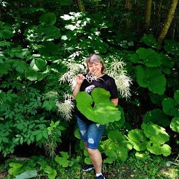 ���� �����, �����, 52 ���� - ��������� 5 ������ 2026