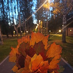 Carpe_diem, ���������