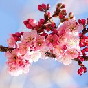 ���� �������, ������ - ��������� 12 ������� 2025 � ������ ������ ��������