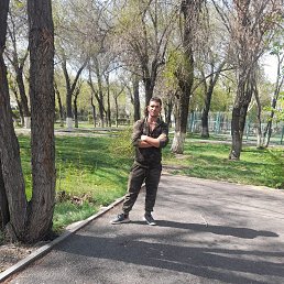 , 33, 