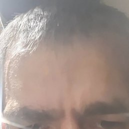 ����� ����, ������, 44 ����