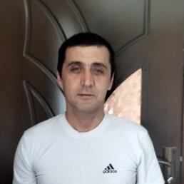 , 43, 