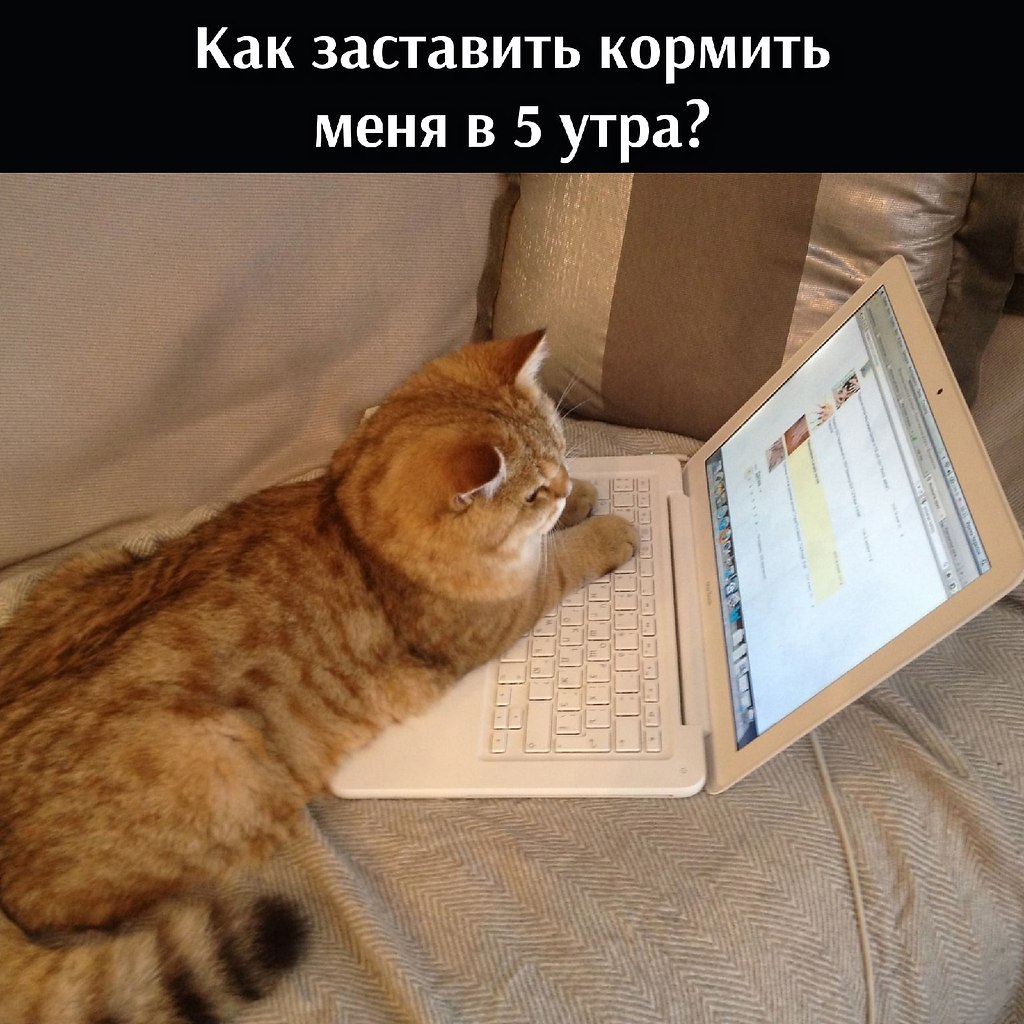  => - 3