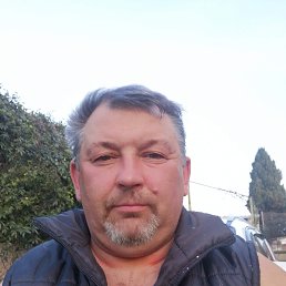 , 44, 