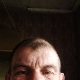 , 38 , 