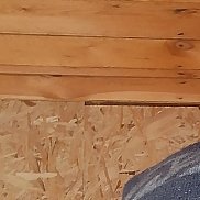 ����, 43 ����, ���������