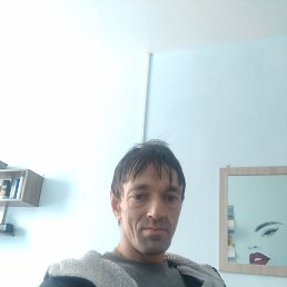 , 40, 