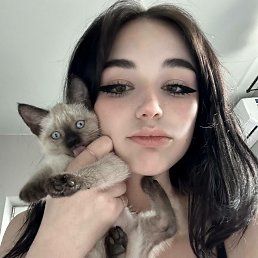 ���� �����, ������, 21 ��� - ��������� 12 ������� 2026