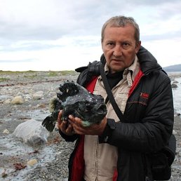 ���� ������, ���������, 70 ��� - ��������� 13 ������� 2024