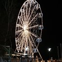 ���� ��� ����-81, ��������, 48 ��� - ��������� 13 ������� 2025 � ������ ���� ����������