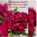 ���� Irina, �����-���������, 55 ��� - ��������� 17 ������ 2023 � ������ ������ ��������