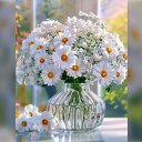 ���� ����, �������� - ��������� 17 ���� 2026 � ������ ������ ��������