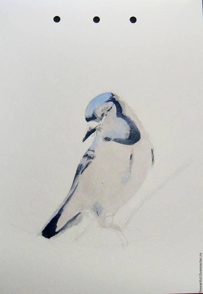  .    :1.  2.   3. ... - 5