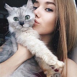 Kn�p�4k�, ������