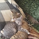 ���� ���������, ������, 63 ���� - ��������� 18 ������ 2024 � ������ ���� ����������