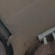 ���������, 55 ���, �����