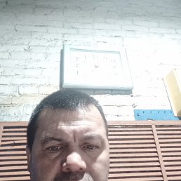 , 52 , 