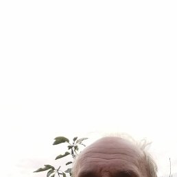 ������, 60 ���, ����