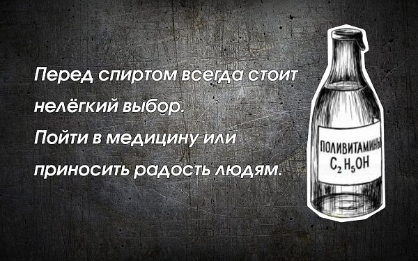  - 20  2024  11:33