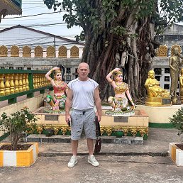 �������, 54 ����, ���������