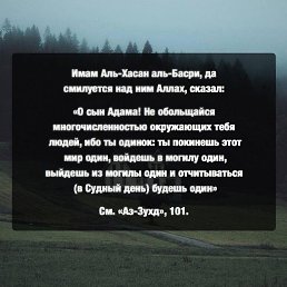 ���� ������, �����������, 61 ��� - ��������� 4 ������ 2025