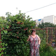 �������, 61 ���, ����